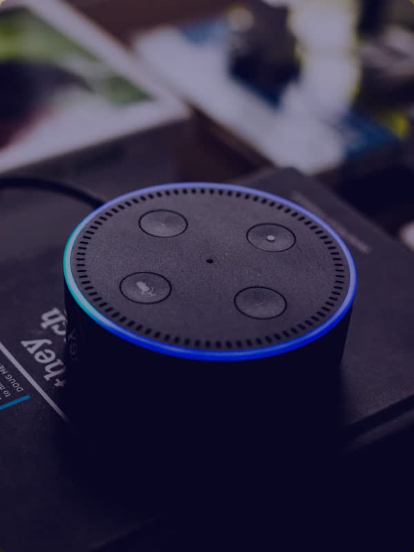 An image description